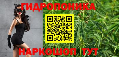 метамфетамин Гай