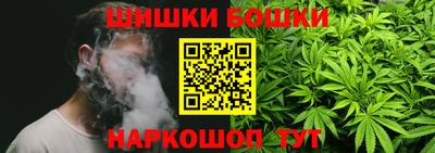 дмт Гатчина