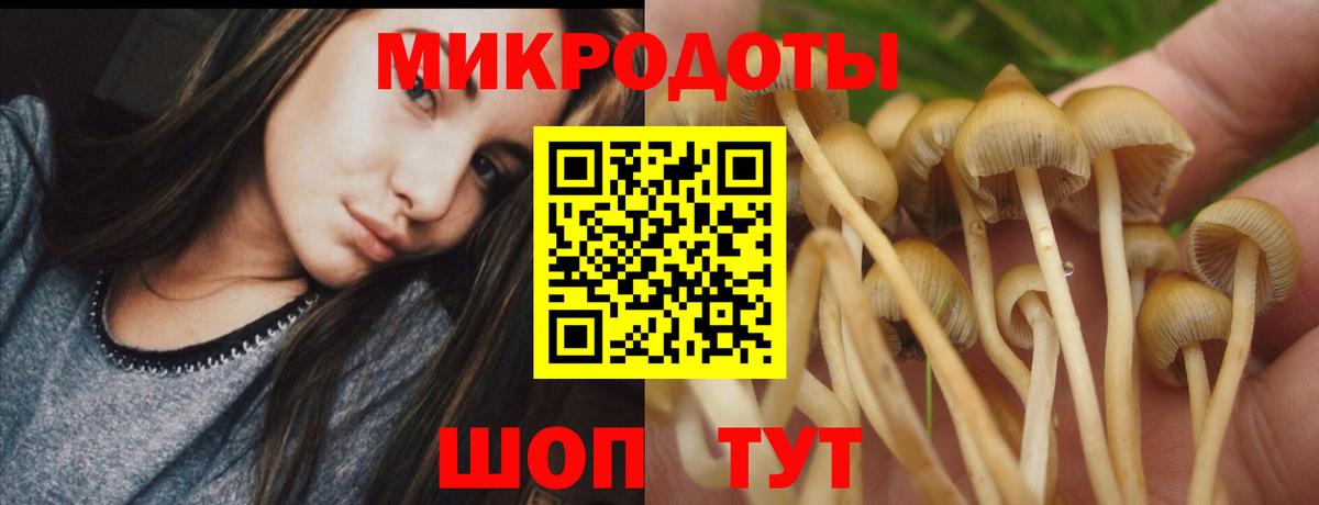 Галлюциногенные грибы мухоморы Кызыл